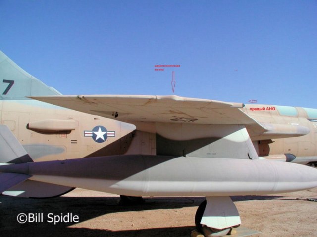 правый АНО Тада.jpg